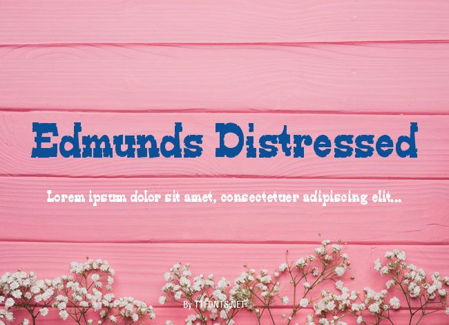 Edmunds Distressed example